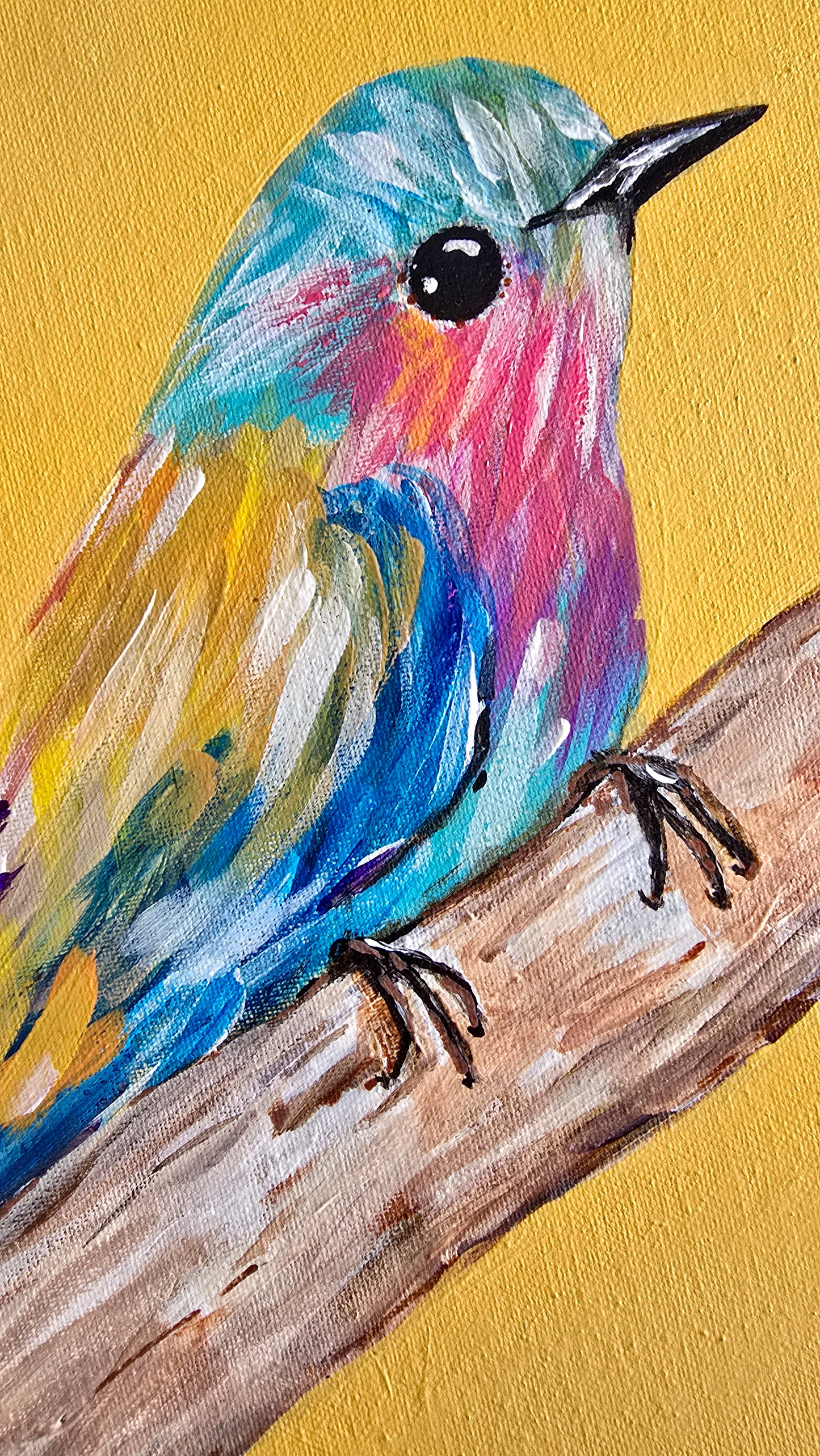 Color at Rest